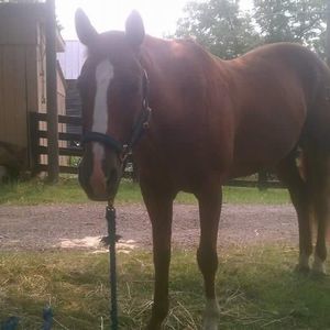 Meet your Posher, Joanna